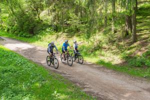 three people riding bikes down a dirt road at Ferienwohnungen Uhren Allgaier in Schönwald