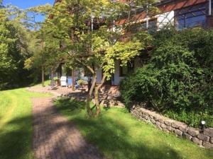 a tree in a yard next to a building at Ferienwohnung Waldeckchen in Waldeck