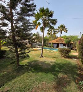 a yard with a palm tree and a house at Jardin d'Afrique, Saly in Saly Portudal