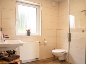 a bathroom with a toilet and a sink and a window at Hof am Horn - Fewos in der Natur in Laichingen +40 photos