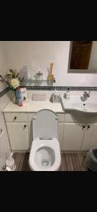 a bathroom with a white toilet and a sink at Ystrad Fach Farm in Llangendeirne