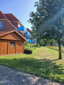 a building with a tree next to a grass yard at Fewo Seehase in Dorum-Neufeld
