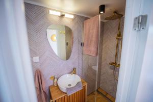 a bathroom with a sink and a mirror at Exklusives Hausboot Pina Woma D13 in Fürstenberg