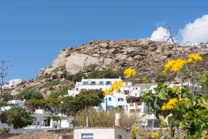 a mountain with white buildings and yellow flowers at Irene's Studio in Mikonos