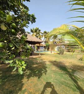 a yard with a building and a tree with green fruit at Jardin d'Afrique, Saly in Saly Portudal