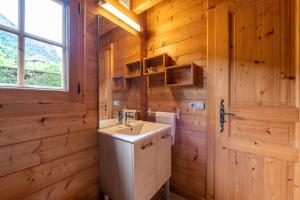 a bathroom with a sink and a wooden wall at Chalet mitoyen 4 personnes in Alex +27 photos