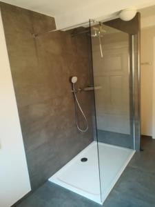a shower with a glass door in a bathroom at Ludwig im Künstlerhaus in Langmühle