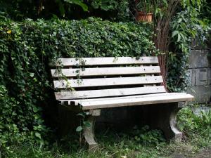 a wooden bench sitting in front of a hedge at Ferienwohnung Zur Eisenbahn in Fladungen
