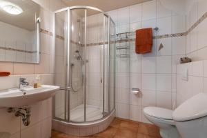 a bathroom with a shower and a sink and a toilet at Igelbau in Wolfach +22 photos