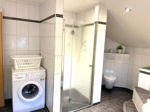 a bathroom with a washing machine and a toilet at Osserblick Galerie in Lohberg +22 photos