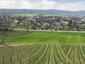 a field of green grass with a town in the background at Ferienwohnung Weinberg in Markt Einersheim