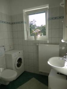 a bathroom with a toilet and a sink and a window at Heidtschmidhof Abendsonne in Wolgast