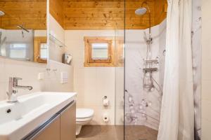 a bathroom with a shower and a sink and a toilet at Ferienhaus 4 Familie Täubert in Klein Uhyst +23 photos