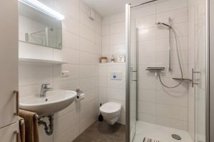 a bathroom with a shower and a toilet and a sink at Fidelis-Bühl Muggenbrunn in Todtnau +36 photos