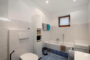 a bathroom with a toilet and a bath tub at Fewo Standfuss in Dausenau +20 photos