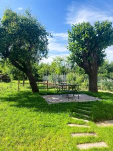 a park with a picnic table and two trees at Le Zucche Vuote in Quargnento