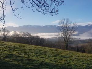 a grassy hill with trees and mountains in the background at La maison Bayle in Mauvezin +11 photos