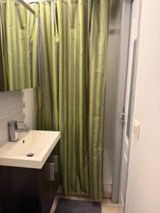 a bathroom with a sink and a green shower curtain at L'échoppe Rochelaise in La Rochelle