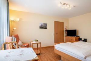 a hotel room with a bed and a tv at Haus Gramespacher in Bad Bellingen
