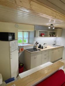 a kitchen with a sink and a refrigerator at La Casa di Sissy in Trasquera +6 photos
