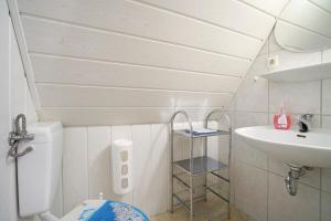 a small bathroom with a toilet and a sink at Ferienhaus Carpin in Carpin +26 photos