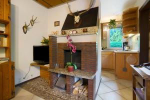 a living room with a brick fireplace in a kitchen at Ferienhaus Carpin in Carpin
