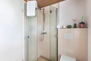 a bathroom with a shower with a glass shower stall at Jules Reetdachkate in Mildstedt +16 photos