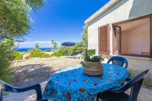 a blue table with a potted plant on a patio at Fantastico quadrilocale vista mare in Trinità d'Agultu e Vignola