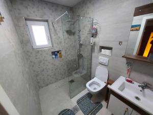 a bathroom with a shower and a toilet and a sink at Villa Freddie Mavrovo - Lakeview House in Mavrovo +32 photos