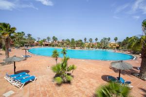 a swimming pool with chairs and umbrellas at a resort at Oasis Bahia Fronte Piscine in Corralejo