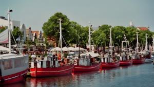 a group of boats docked in the water at Ostsee in Diedrichshagen
