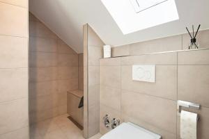 a bathroom with a shower and a toilet at Dachstudio am Donau Rad Weg in Tegernheim +13 photos