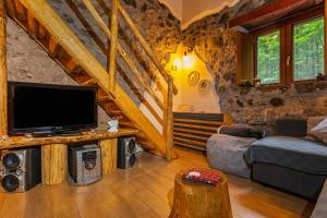 a living room with a tv and a couch at Bosco Magaudo - Casa U Parmento in Linguaglossa