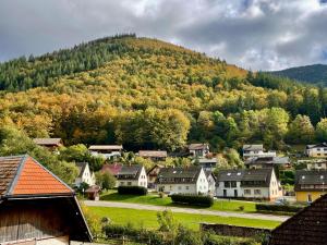 a small town with a mountain in the background at Ferienwohnung Ella, 95qm, Terrasse in Todtnau