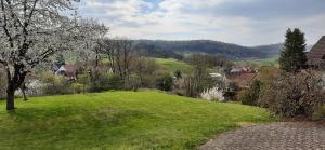 a green grassy hill with a village in the background at Ferienwohnung Nationalparkblick in Altenlotheim
