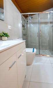 a bathroom with a shower and a sink and a toilet at Casa das Laranjas in Murtosa +9 photos