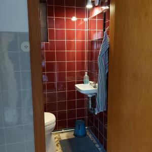 a bathroom with a toilet and a sink at Ferienhaus Hadler in Kaiser Wilhelm Koog +18 photos