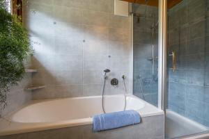 a bathroom with a shower and a bath tub at Ferienhaus Pichlerhof in Fundres +21 photos