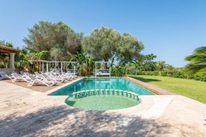 a swimming pool with chairs and a yard with trees at Finca Es Figueral in Campos