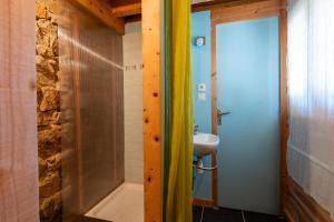 a bathroom with a shower and a sink at La Chastanha in Saint-Symphorien-de-Mahun +42 photos