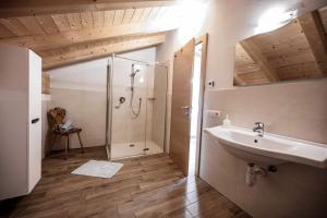 a bathroom with a shower and a sink at Oberhof Apt Panorama in Vallarga