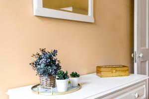 a table with two potted plants and a mirror at Ladomar Matriz in Horta +27 photos