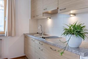 a kitchen with a sink and a potted plant at Hilber Fermeda in Villnoss