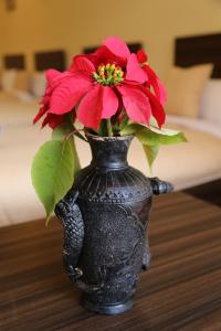 Letto o letti in una camera di Bed and Breakfast Thamel
