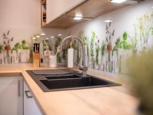 a kitchen with a sink and a counter with plants on the wall at Ferienwohnung Pusteblume in Kappelrodeck