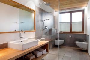 a bathroom with a sink and a toilet at Angerle Alm Apt Similde B in Carezza al Lago +20 photos