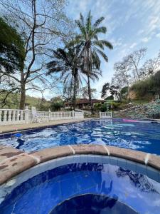 a pool with a palm tree in the background at Alegría Lodge in Curití