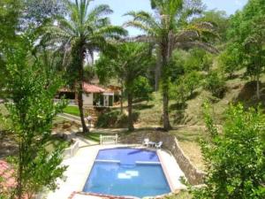 a house with a swimming pool and palm trees at Alegría Lodge in Curití