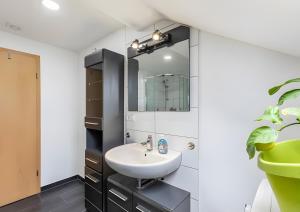 a bathroom with a sink and a mirror at Panda in Babenhausen