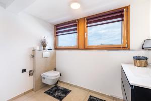 a bathroom with a toilet and a window at Auszeit Matzi in Öhningen +19 photos
